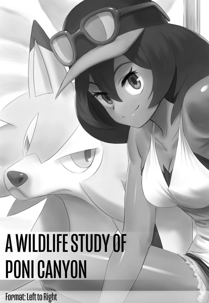 a wildlife study of poni canyon cover