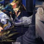 brightness of the sword cover