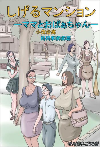 zenmai kourogi shigeru mansion mama to obaa chan chinese cover