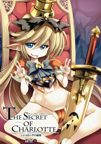 the secret of charlotte cover