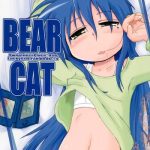 bear cat cover