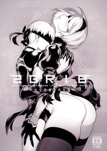 nier 2br18 cover