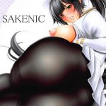 sakenic cover